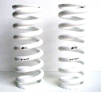 E82 TCKR VVS Alloy Rear Springs